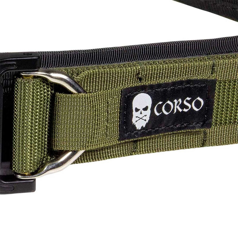 CINTURA CON SOTTOCINTURONE HOOK MOLLE MK2 RANGER GREEN CORSO