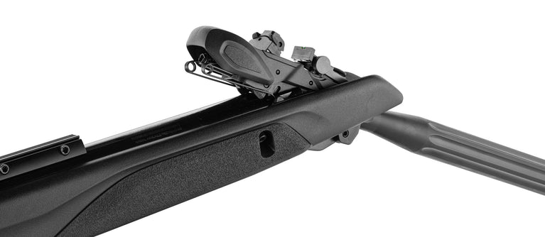 SPEEDSTER 10X IGT GEN 2 CAL4,5 <7,5J GAMO