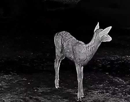 TERMOCAMERA MONOCULARE TE211 GUIDE OUTDOOR