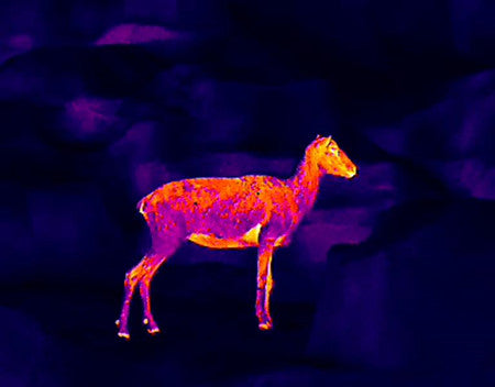 TERMOCAMERA MONOCULARE TE211 GUIDE OUTDOOR