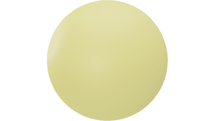 CONFEZIONE DA 100 PALLETTONI T4E CALIBRO .50 TRB 1.14G FLUORESCENTI UMAREX