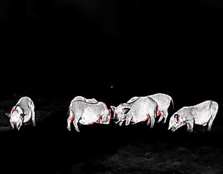 TERMOCAMERA MONOCULARE TE211 GUIDE OUTDOOR